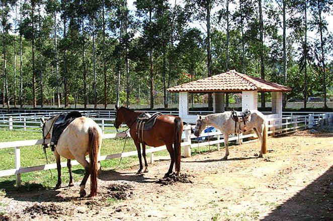 Resort Recanto Do Teixeira All Inclusive Nazaré Paulista 外观 照片